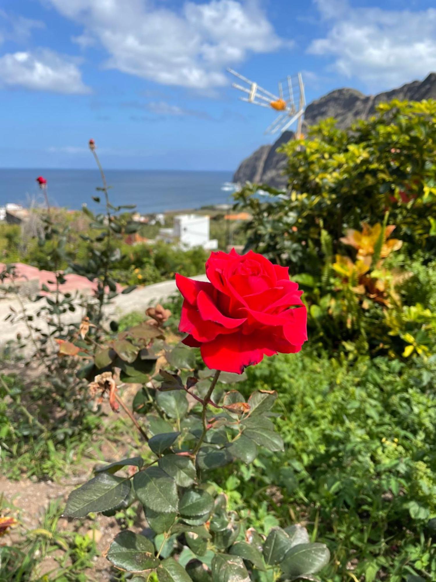 Finca Santa Catalina Hermigua Kültér fotó